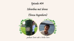 Zdravilna-moc-dreves